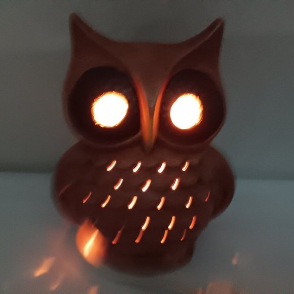 Vintage Handmade Ceramic Owl Light Hobbyist Hand Painted Electric Bird Lamp - Picture 8 of 16